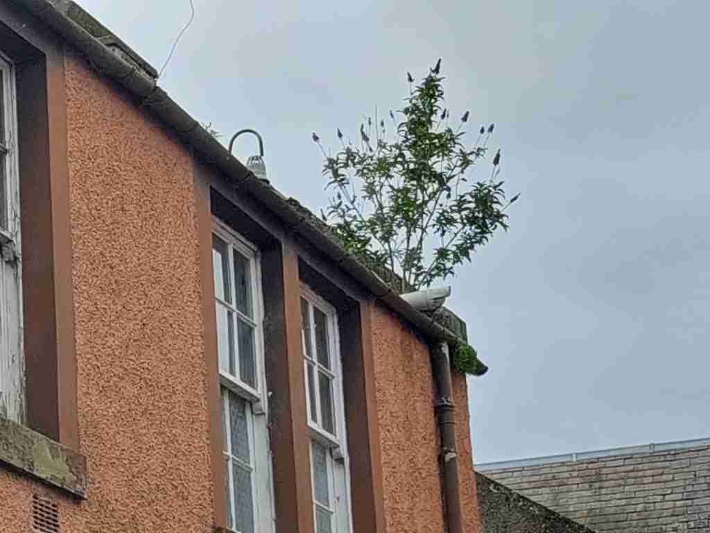 Damaged gutter