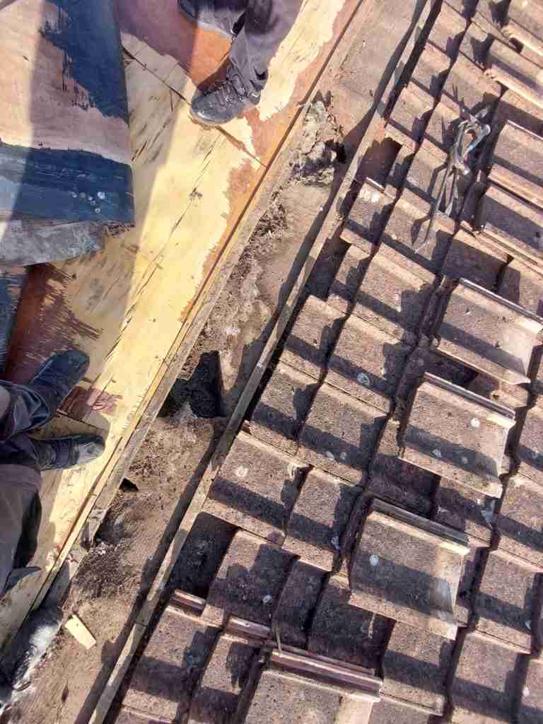 Local Roofer