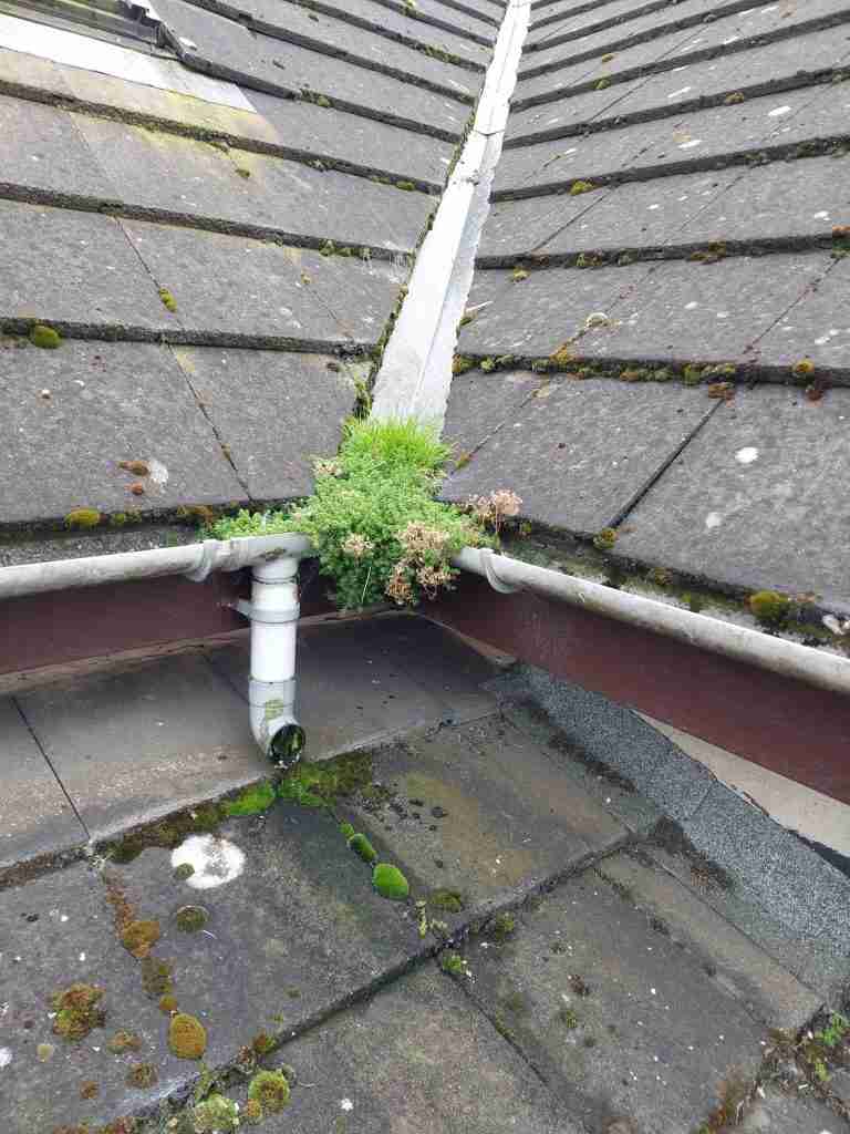 Emergency Roof Repairs