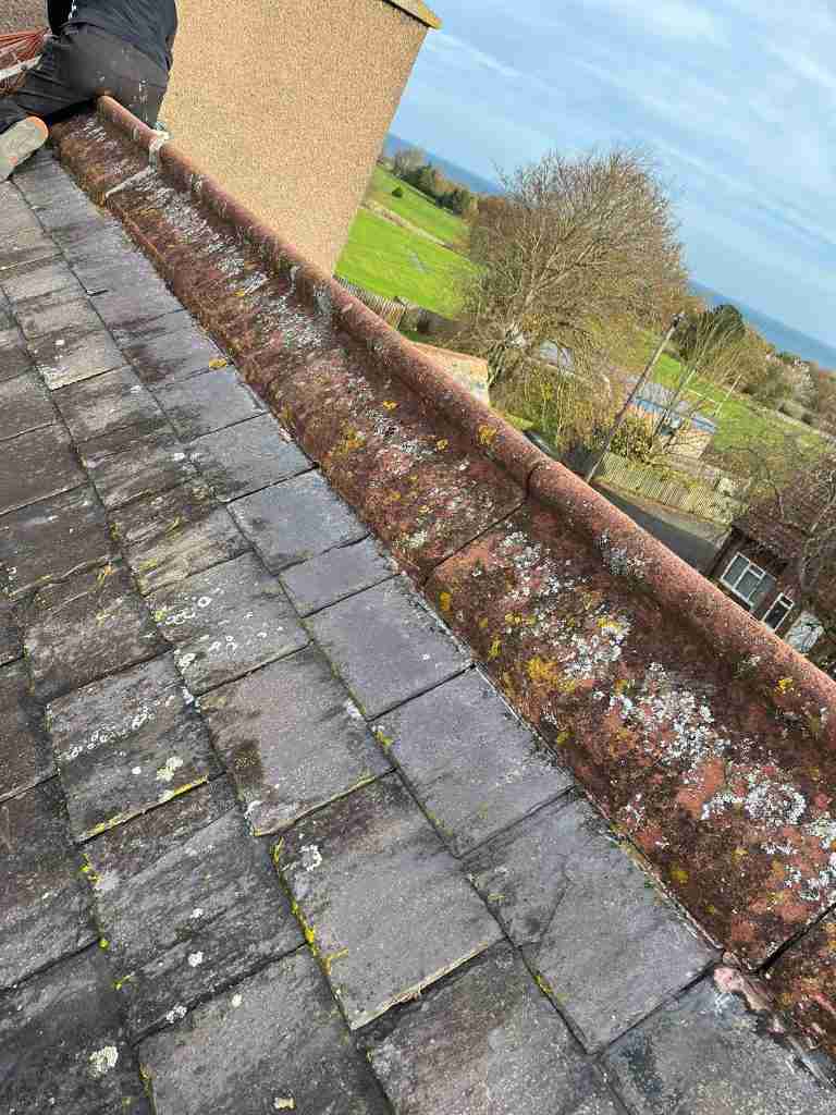 Local Roofer