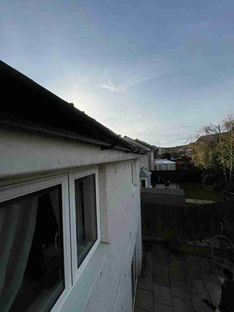 Repair Roof