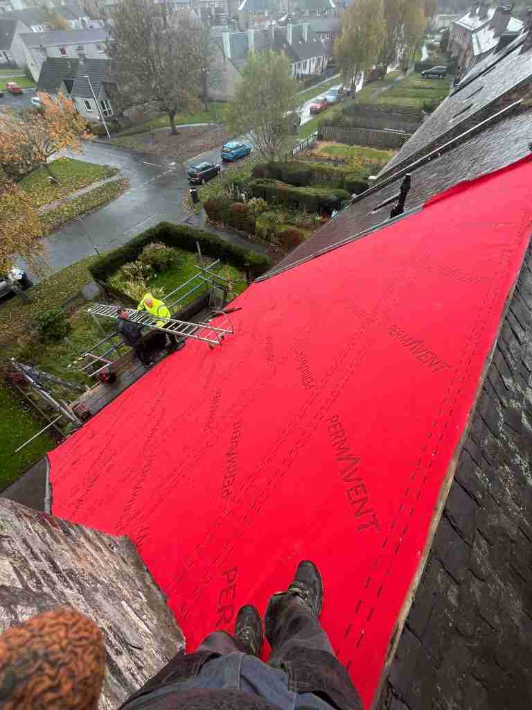 Repair Roof